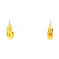 charming-elevated-22k-gold-earrings